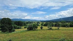 Panorama Chlum Resort - Apartmán 2kk, 701