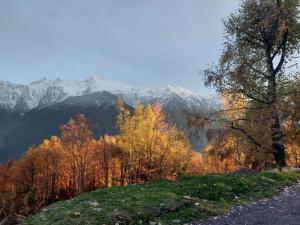 Chalet Dalpage Authentique