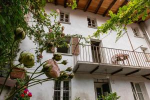Elicriso Apartment