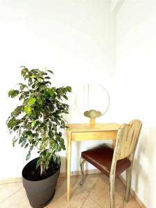 Ammoudara Apartments