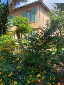 B&B / Chambres d'hotes La villa des Amandiers : photos des chambres