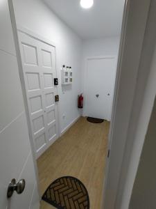 apartamentos Larios centro
