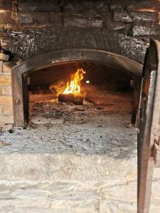 Maisons de vacances Maison de campagne dans un ecrin de verdure : photos des chambres