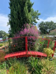 Maisons de vacances La Grenouillere : photos des chambres