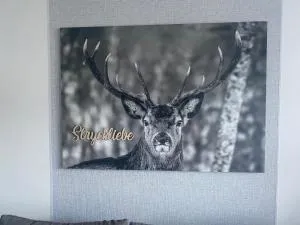 Ferienwohnung Stryckliebe - Stryck