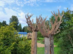 Glamping Fluffy Horns - Glempings Pūkainie Ragi