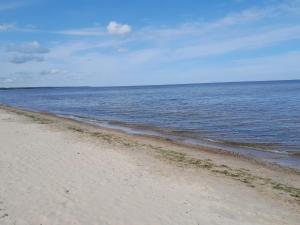 Glamping Fluffy Horns - Glempings Pūkainie Ragi