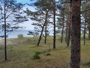 Glamping Fluffy Horns - Glempings Pūkainie Ragi