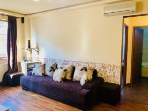 Joy City Stay Republicii 19