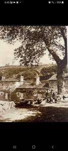 Lazzaretto vivienda uso turístico