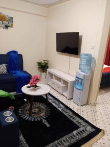 One bedroom apartments in south b