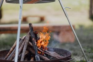 BodenSEE Apartment Neukirch Goppertsweiler HASE