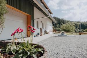 BodenSEE Apartment Neukirch Goppertsweiler HASE