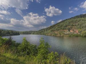 Hotels Auberge Du Lac : Chambre Double Standard