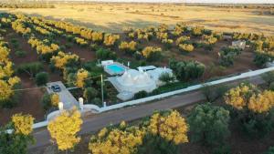 Trullo Lis con Piscina Privata