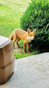 Home La Sierra with WHIRLPOOL BATH for two