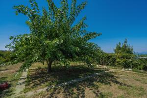 ANTICA DIMORA DANCORA