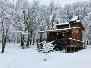 NOMADE cabin rent