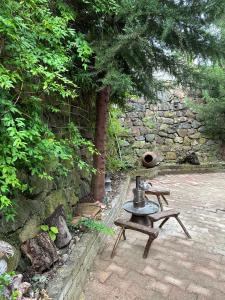 ASİL 101 Karadeniz kuş cenneti