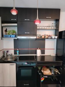 Stefan Apart Iași centru Palas