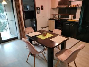 Stefan Apart Iași centru Palas