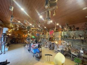 ASİL 101 Karadeniz kuş cenneti