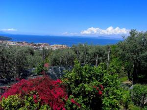 obrázek - Luxurious Mansion in Sorrento with Garden