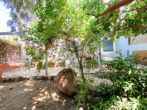 Blue Seaside House with Garden