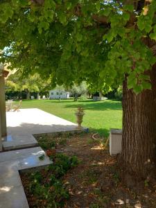 Maisons de vacances Le Petit Mas des Alpilles en Provence : photos des chambres