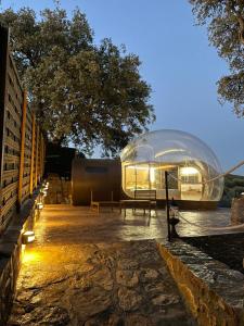 SUITE 19 BUBBLE BY CORTIJO COLOMO