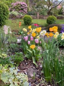 Haus am Kastanienwald