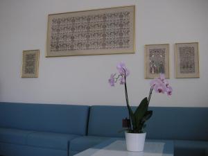 Danae Hotel Thassos Greece