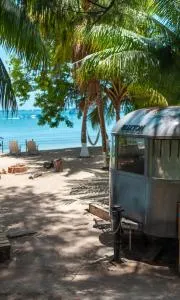 Sal & Turq - Roatán