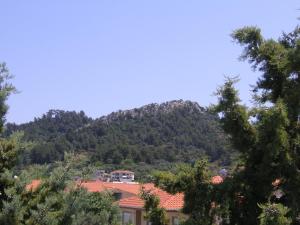 Danae Hotel Thassos Greece