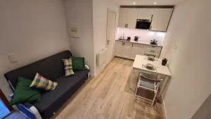 Les Bossons Studio - 夏蒙尼-勃朗峰