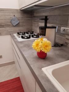 Trilocale moderno in centro città