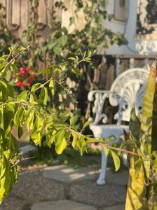 Nina's Stay Hostel - Ubytování bez kategorie ve městě Charneca