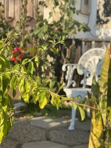 Nina's Stay Hostel - Marco Cabaço