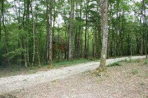 Campings La Buissonniere - Lodges & SPA : photos des chambres