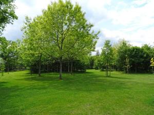 Maisons de vacances Gite Bourneau, 3 pieces, 6 personnes - FR-1-426-538 : photos des chambres