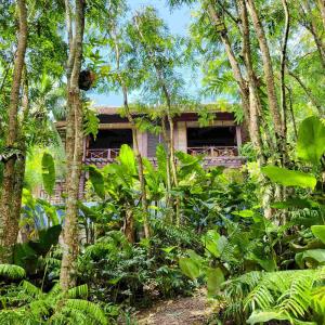 The Red Hen Homestead