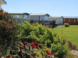98Lemmington by the beach Ynyslas, Borth