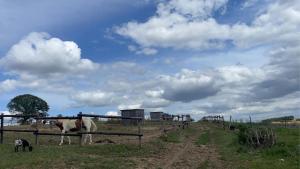 Chalets Chalet a la Campagne : photos des chambres