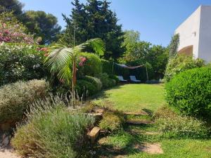 Villas Villa Cote Mer, Provence style, near St Tropez : Villa - Vue sur Mer