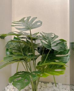 MONOBO Luxury Smart Loft in Milano Olympic Village Porta Romana