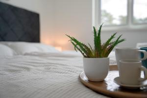 Sobol Apartments "Ventus" with private pool