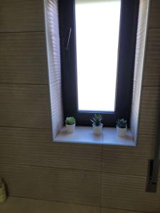 Fernandes Apartments