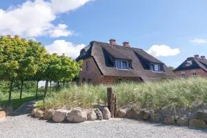 Grosse Lachmöwe - Westereck