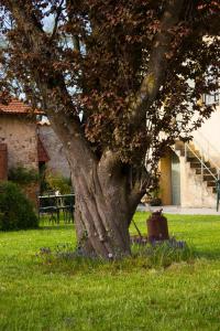 B&B / Chambres d'hotes Aux Ronzieres : photos des chambres