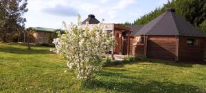 Chalets CHALET ATYPIQUE LOLA type KOTA location en gite : photos des chambres